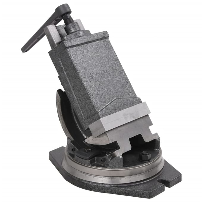 vidaXL - Bankschroef - met - 2 - assen - kantelbaar - 160 - mm