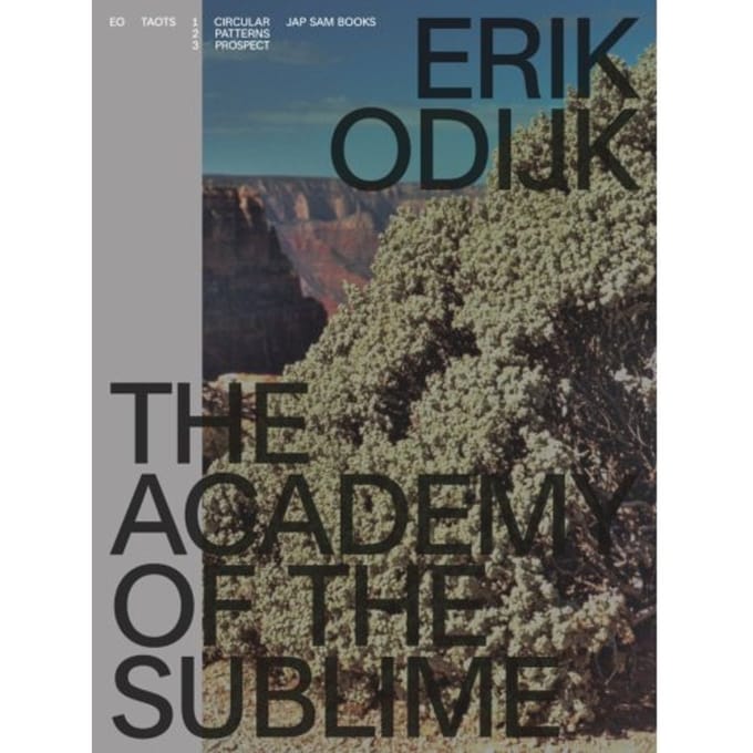 Erik Odijk. The Academy Of The Sublime - Ilja Leonard Pfeijffer