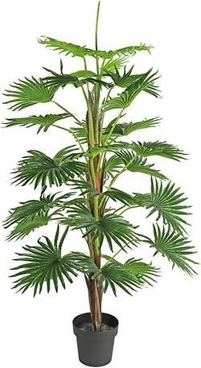 Non-branded Kunstplant Washingtonia 70 X 150 Cm Groen