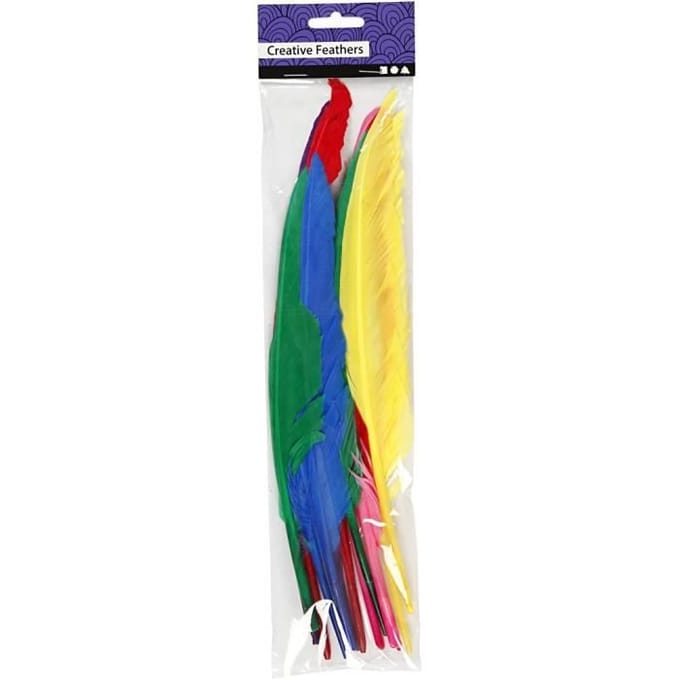 CC Veren Gekleurd l: 27cm 12 stuks