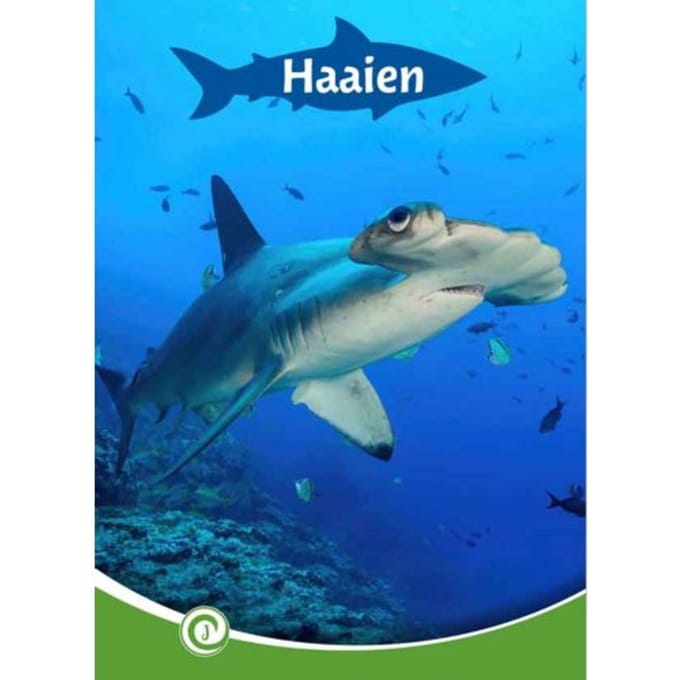 Haaien - Junior Informatie - Geert-Jan Roebers