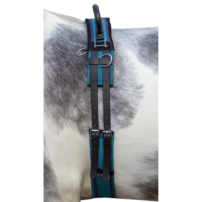 Paardensurfplank met handvat HKM Canvas