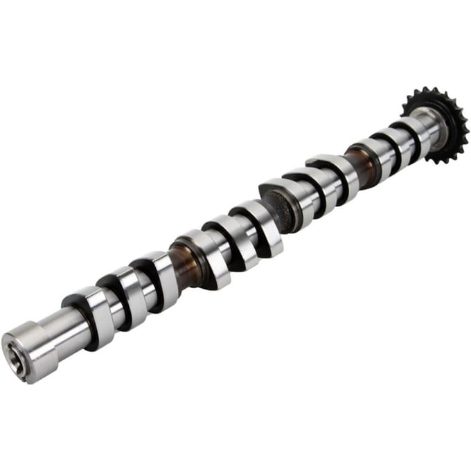 Nokkenas  AE CAM743