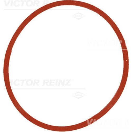 Victor Reinz Pakking, Inlaatspruitstuk REINZ 40-77534-00