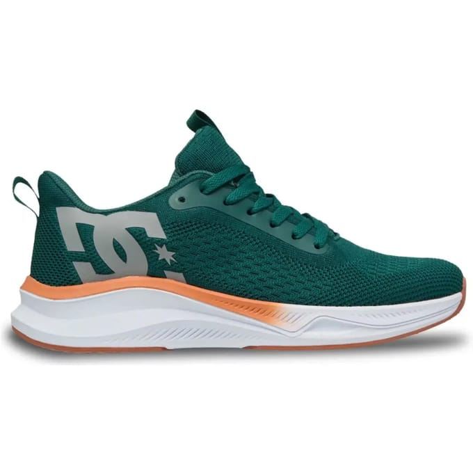 Kinderschoenen DC Shoes Roammax