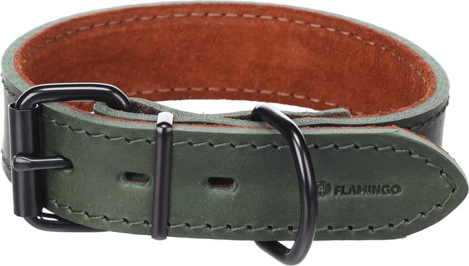 Hond Halsband Montana Groen M 35-45cm 35mm