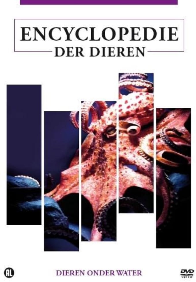 Dieren Onder Water