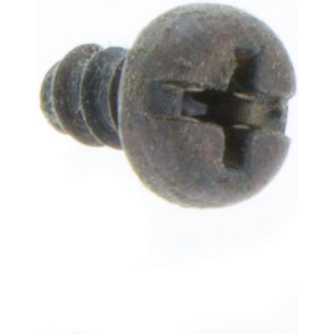Screw