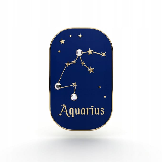 PINETS Aquarius Zodiak Pin - 14K Gouden Afwerking met Zirkoon