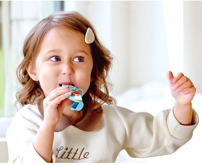Hape Ritme & Hum Pocket Kazoo | 12 stuks - UNI