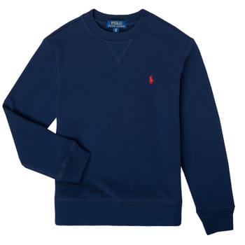Sweaters Polo Ralph Lauren LONG SLEEVE CREWNECK SWEATSHIRT