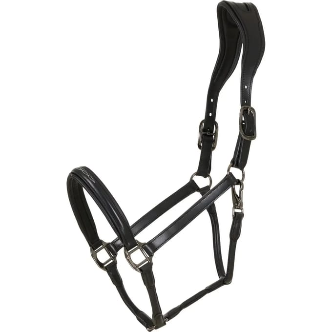 Leren halster voor paarden Catago Novi 25.2