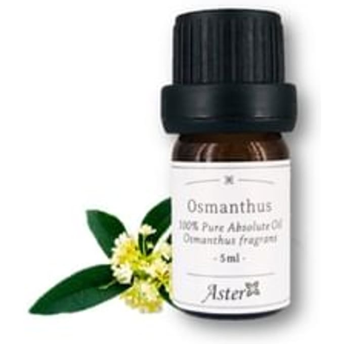 Aster Aroma - 100% Pure Absolute Oil Osmanthus Fragrans 5ml