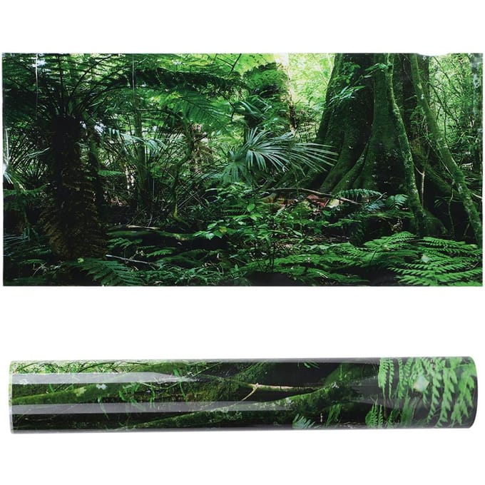 Boîte Reptile PVC Affiche Fond Forêt Tropicale Peinture Décoration Murale Aquarium Auto black