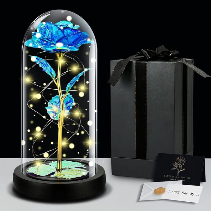 Eeuwige Roos - Roos in Glas - Romantisch Cadeau - Met LED Verlichting - 27 x 23 cm - Roze