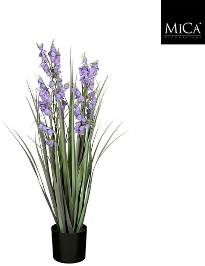 Mica Decorations Gras Campanula in pot - 78 x 20cm - Paars