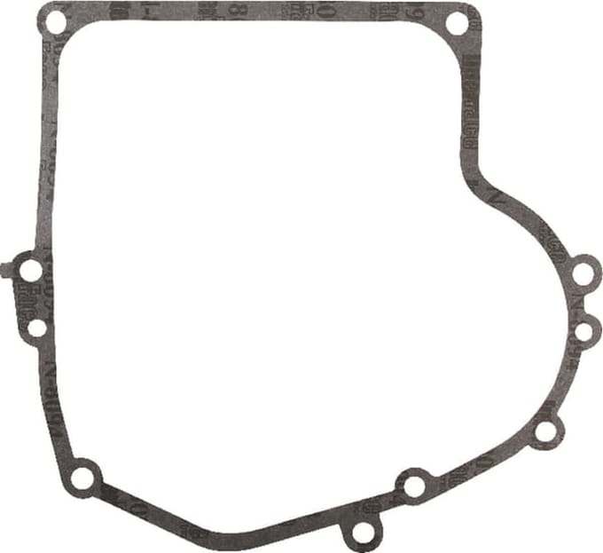 Briggs & stratton carterpakking