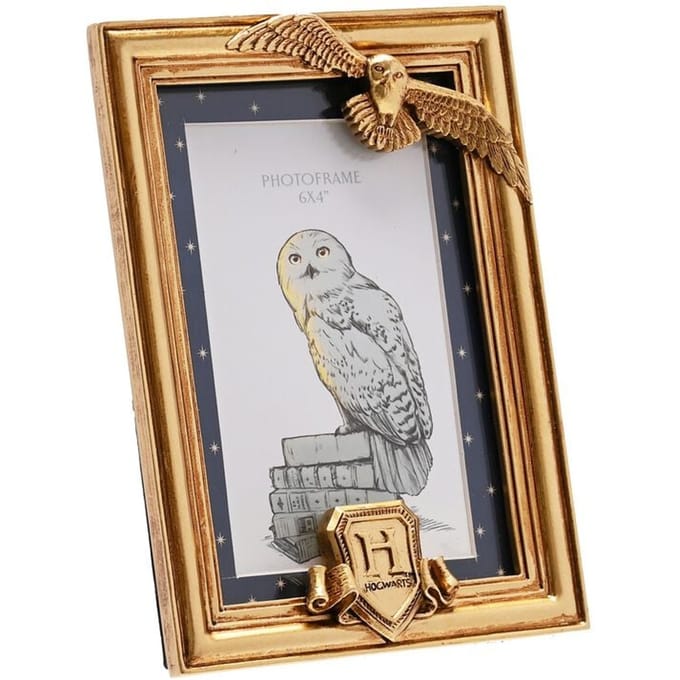 Harry Potter Hedwig Unisex Decoratieve Artikelen - goudkleurig - Standard