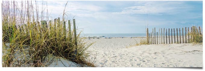 Poster Duinen en strand - 53 x 158 - Papier - REINDERS