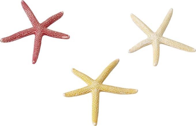 Aqua Della - Aquariumdecoratie - Vissen - Starfish Mix L - 18,5cm - 1st