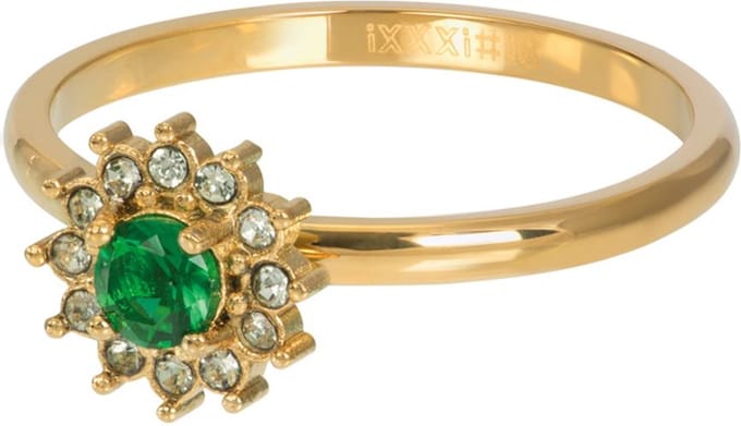 Lucia Small Emerald - iXXXi - Vulring 2 mm - Goud