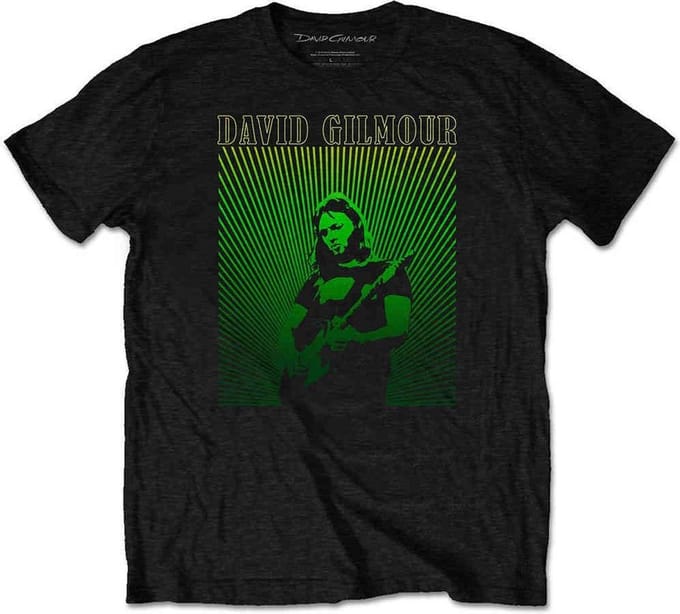 David Gilmour - Rays Gradient Heren T-shirt - L - Zwart