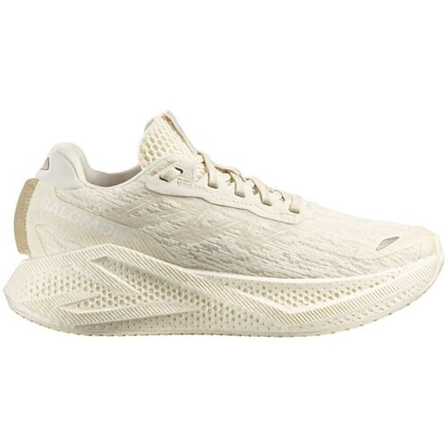 Lage Sneakers Salomon Aero Glide 4