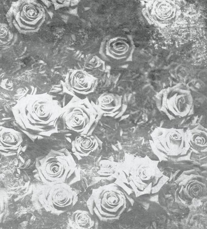 Fotobehang - Roses Abstract II 225x250cm - Vliesbehang