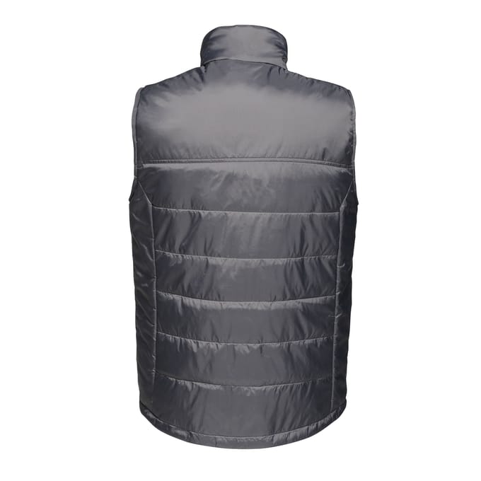 Regatta Heren Fase II Geïsoleerde Bodywarmer (Afdichting Grijs)