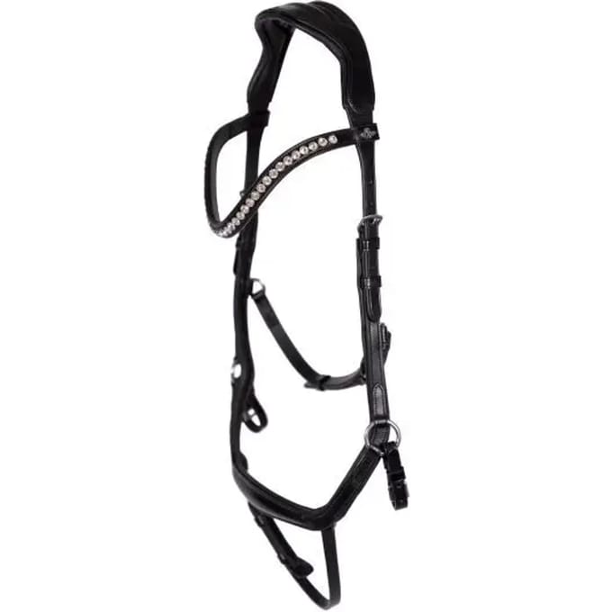 Anatomische hoofdstellen HV Polo Legacy deluxe