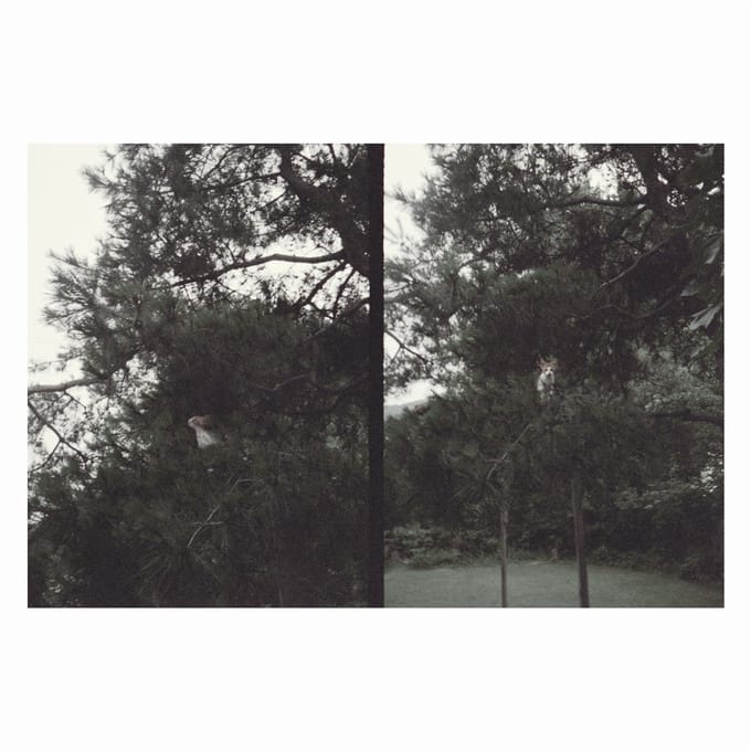 Okkyung Lee - Just Like Any Other Day (LP)