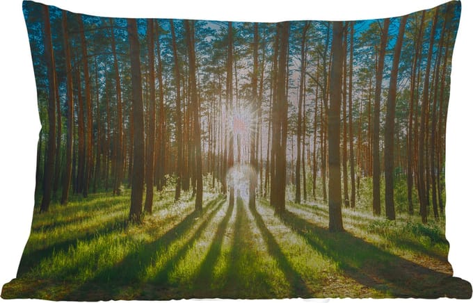 Buitenkussens - Zon - Bomen - Landschap - Gras - 60x40 cm - Weerbestendig
