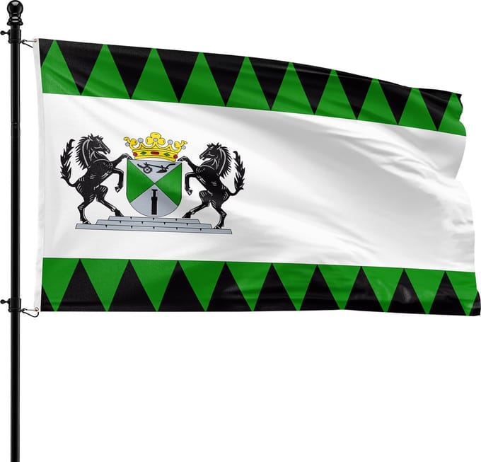 VlagDirect - Emmen vlag - Gemeente Emmen vlag - 90 x 150 cm.