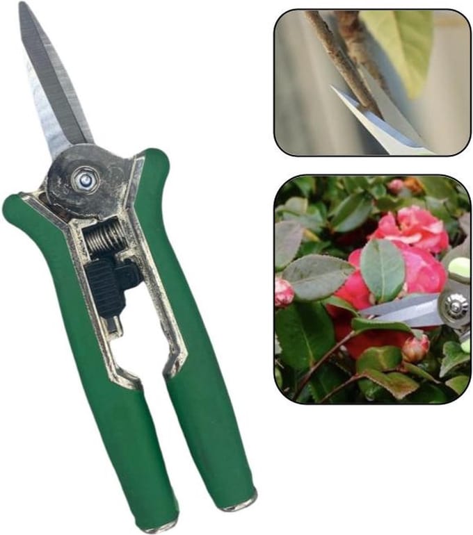 PD® - Snoeischaar recht - Extra Scherp! - Bloemenschaar - 15 cm