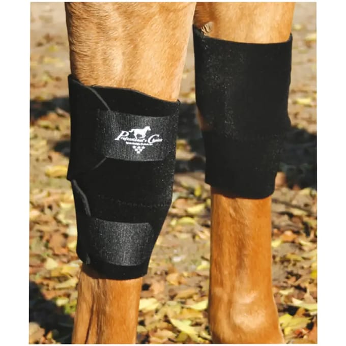 Kniebeschermers voor paard Professional's Choice KB101