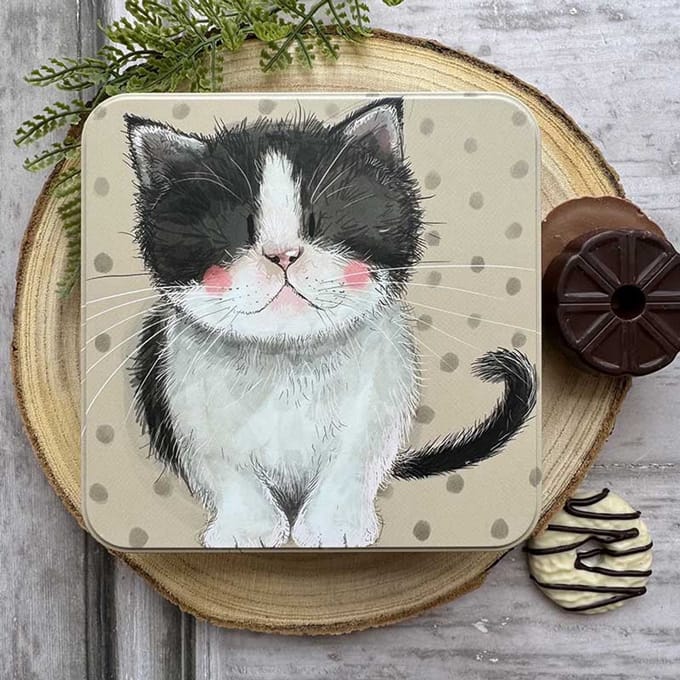 Alex Clark Large Square Tin Kitten ~ Vierkant opbergblikje kat