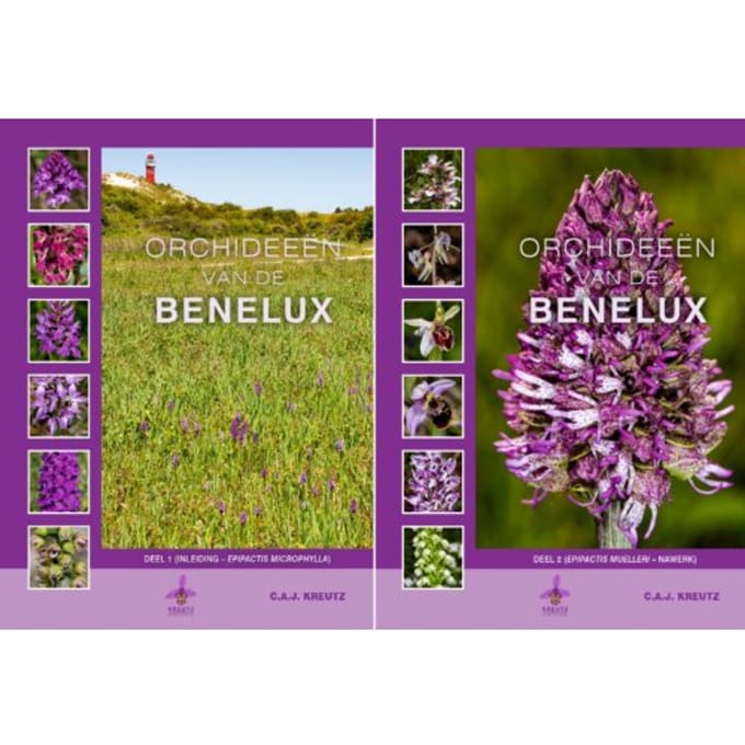 Orchideeën Van De Benelux - C.A.J. Kreutz