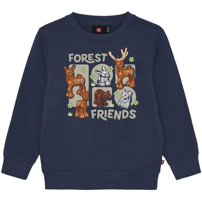 Junior Sweatshirt Lego Lwsanyu 700