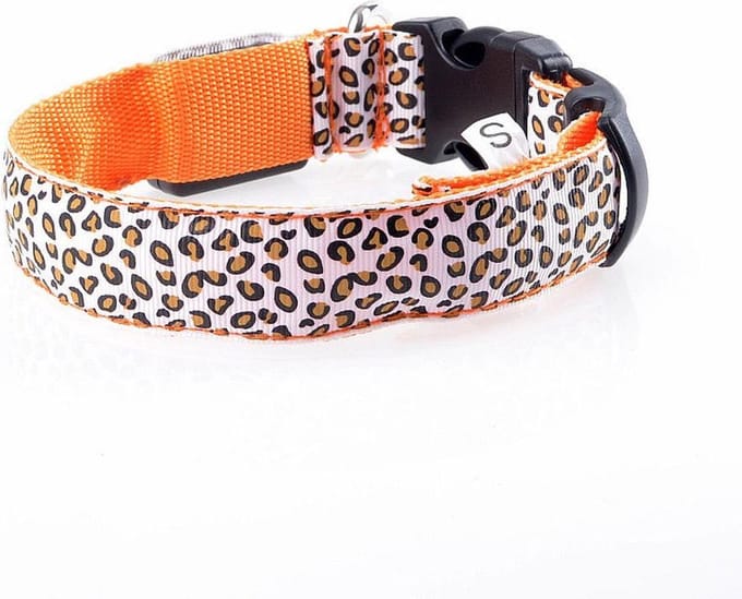 Pakketexpert LED Lichtgevende Hondenhalsband - Oranje - 43-60 cm