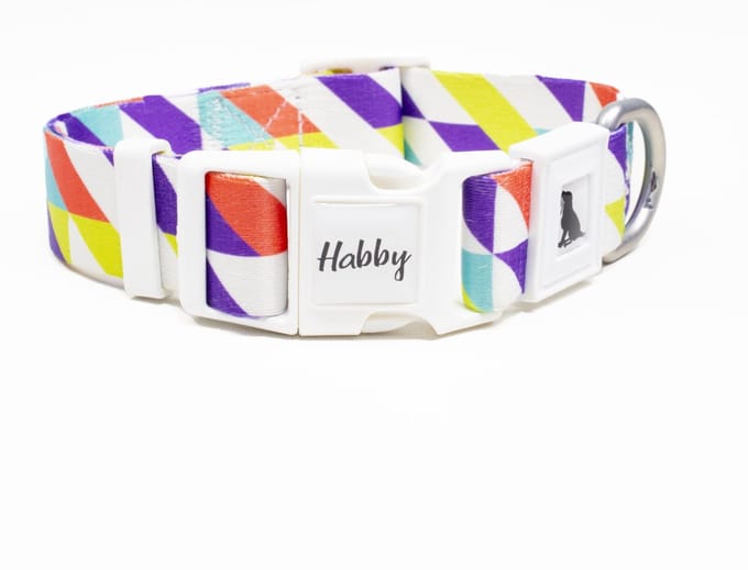 Luxe Halsband voor Honden-Verstelbaar 27 Cm-39 Cm x 2,5 Cm-Rainbow