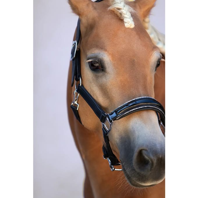 Leren halster voor paard Bridlery Eternity