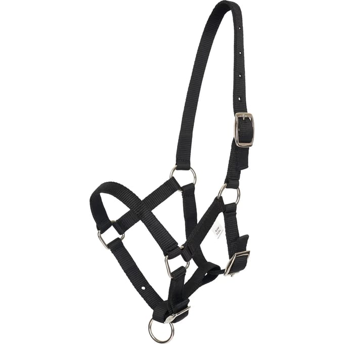 Halster voor paarden HV Polo Nena