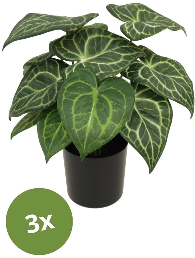 3x Syngonium Kunstplant 30 cm