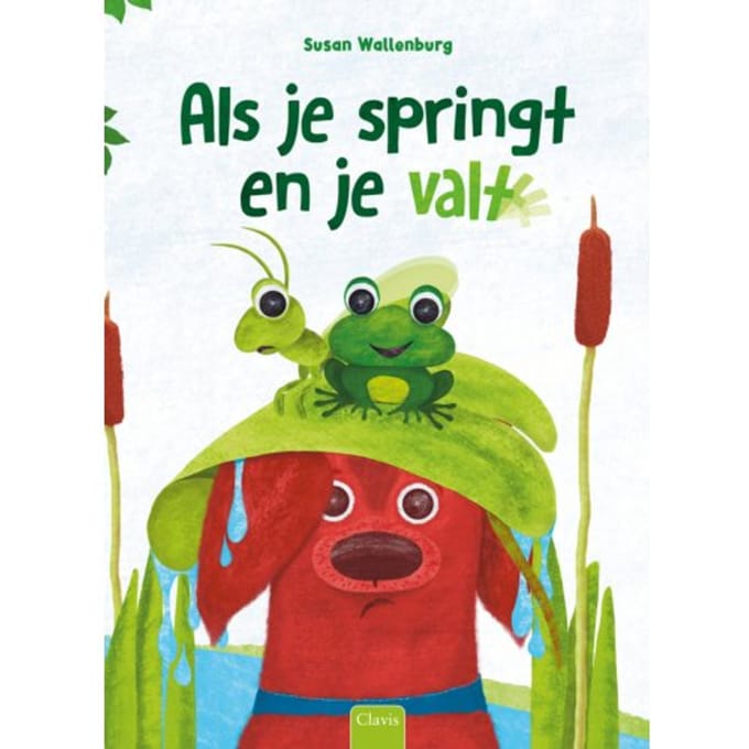 Als Je Springt En Je Valt - Susan Wallenburg