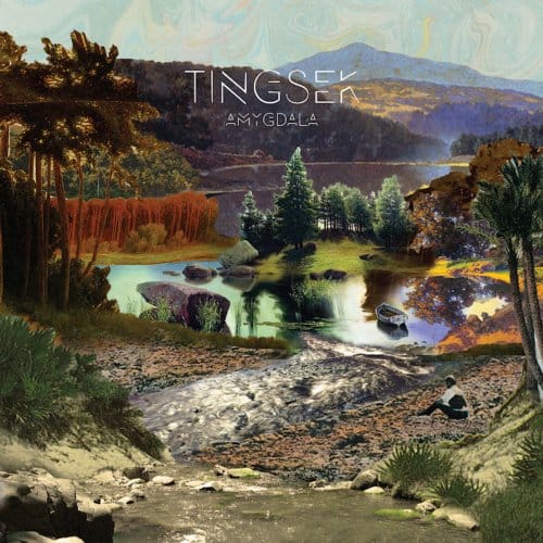 Amygdala - Tingsek