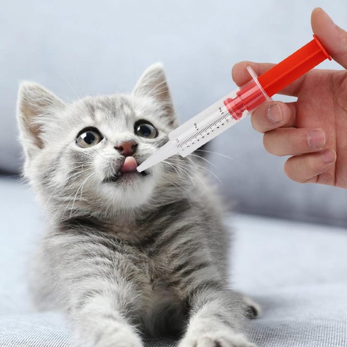 Huisdier Kat Hond Druktype Voeding Medicijnen Applicator Voeder Naald Droog Nat Dubbel Gebruik gray