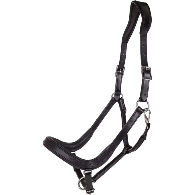 Qhp Halster Qhp Salerno Anatomisch Zwart