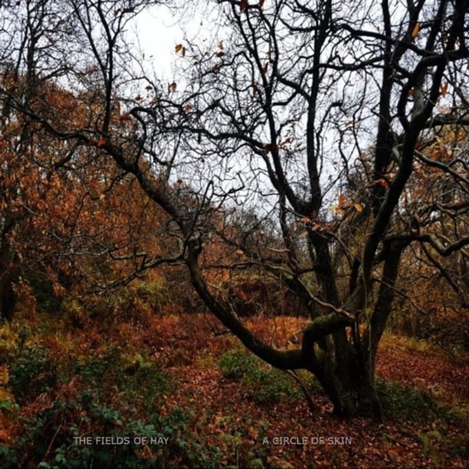Fields Of Hay - A Circle Of Skin (CD)