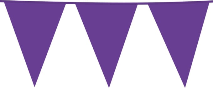 Reuze slinger - paars - vlag 30 x 45 cm - 10 meter