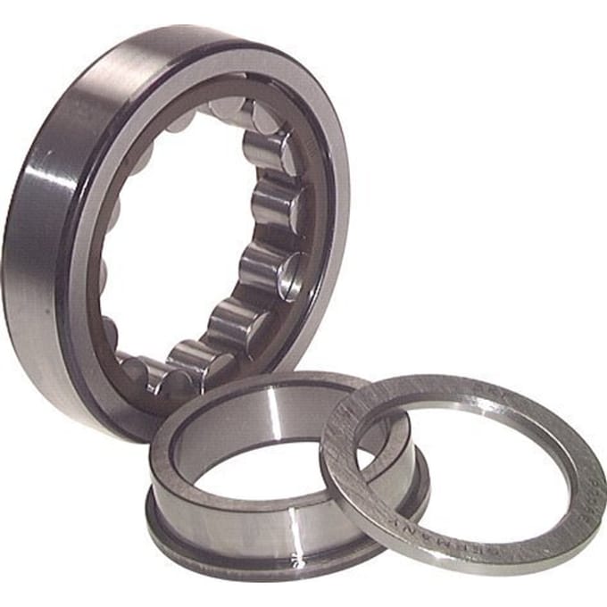 Cilinderlager 25x52x18mm DIN 5412 Versterkt NUP